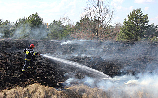 Pożary na Warmii i Mazurach. Paliło się 100 hektarów traw i budynek gospodarczy